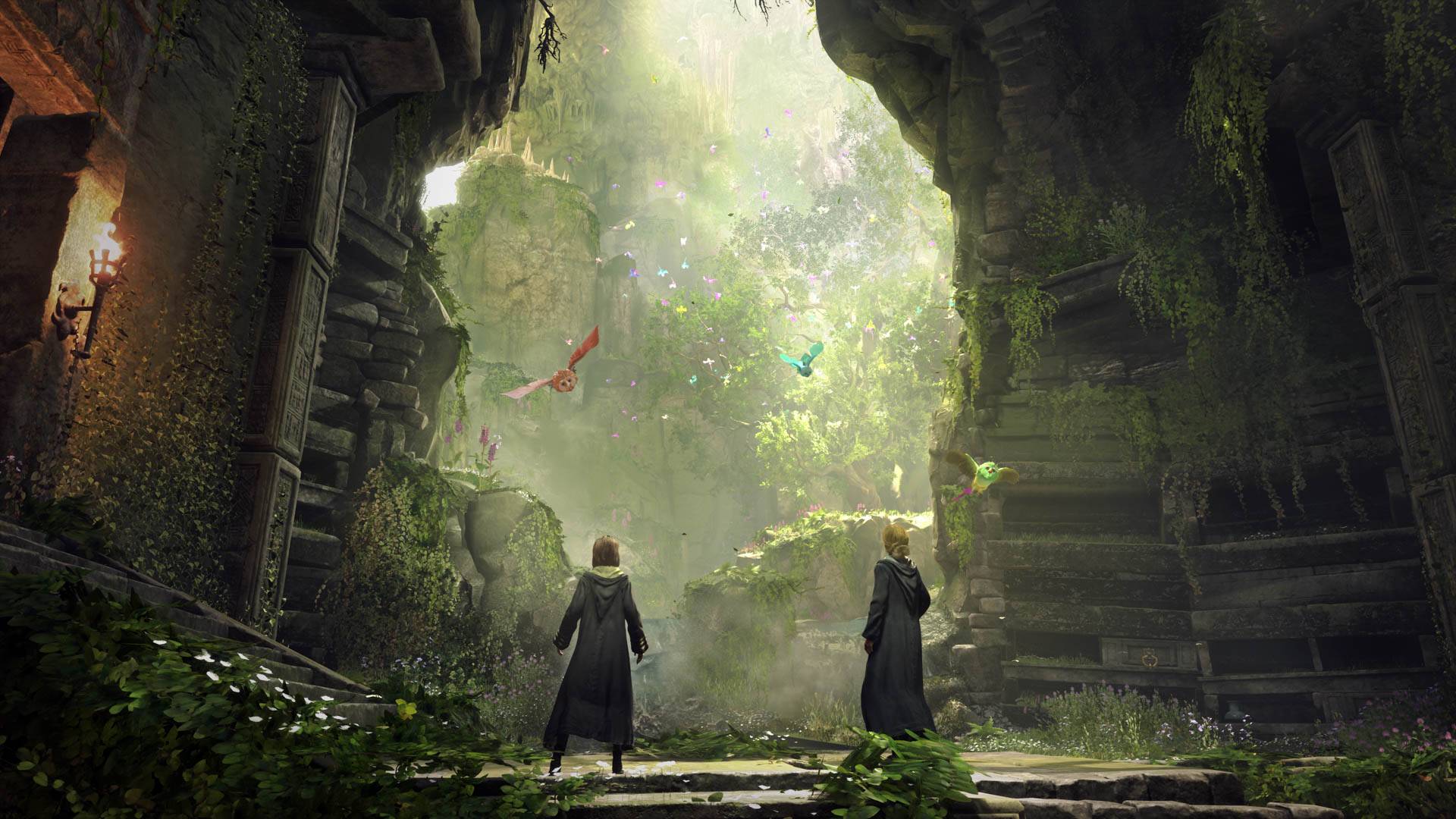Hogwarts Legacy : L'Héritage de Poudlard